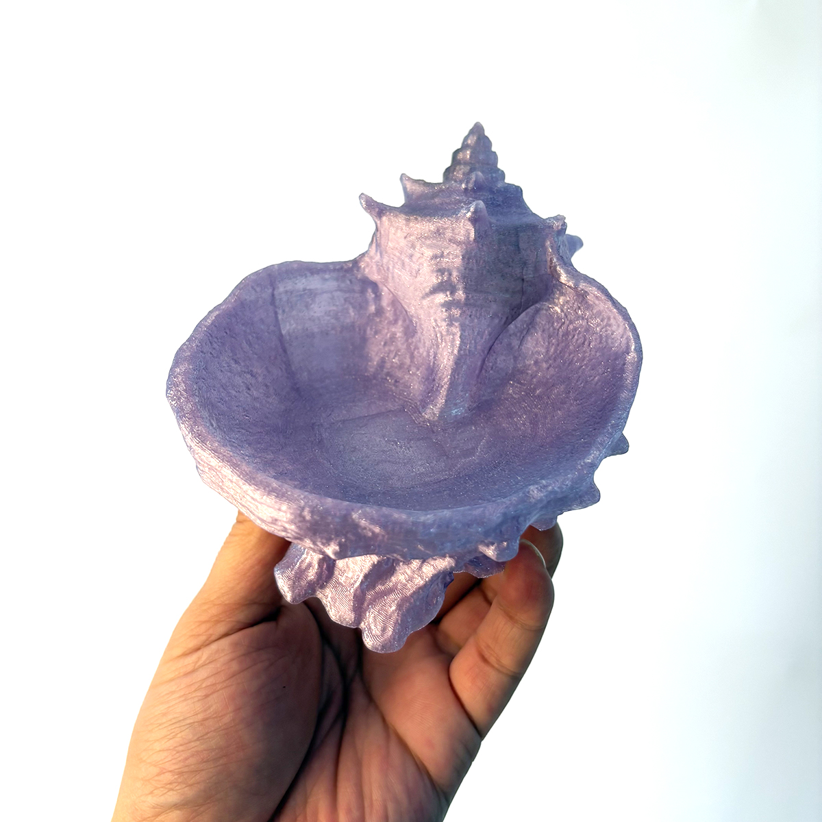 Pearlescent Purple Conch-Shape - Desk Setup Girly ulasan dan harga